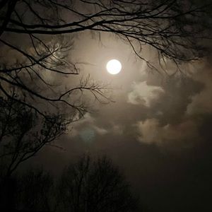 I MAINLY SHIP ON THE WEEKENDS..THANK YOU🤗🥳